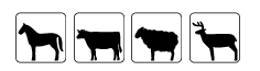 cheval_vache_mouton_gibier
