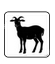 chevre
