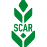 Scar